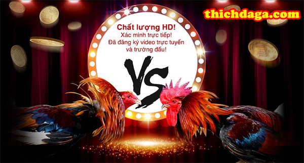 Danh sách những nhà cái đá gà online năm 2019