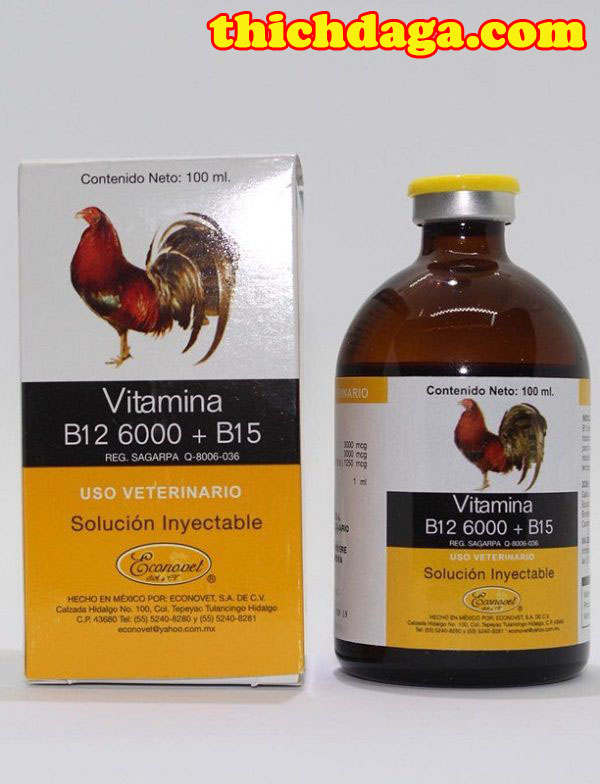 Nuôi gà đá cựa sắt có nên sử dụng thuốc không?