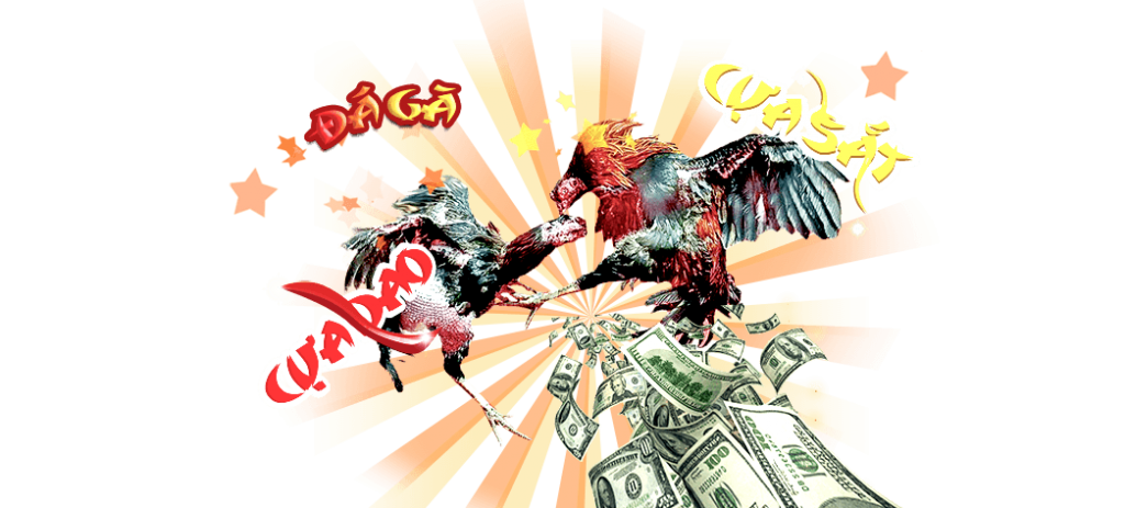 Những lưu ý khi đá gà trực tuyến