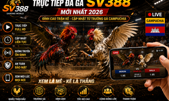 Trực tiếp đá gà SV388