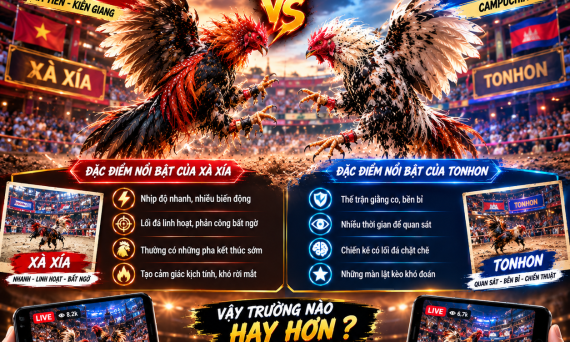 Bồ gà Xà Xía và Tonhon